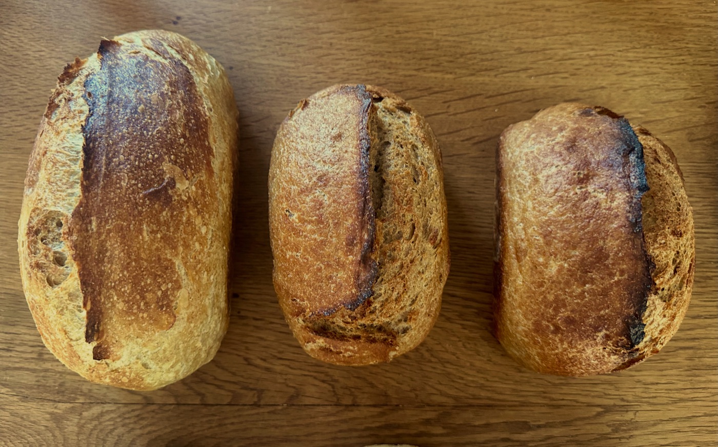 Helles und Vollkorn-Sauerteigbrot von Lago Bakery, Tessin